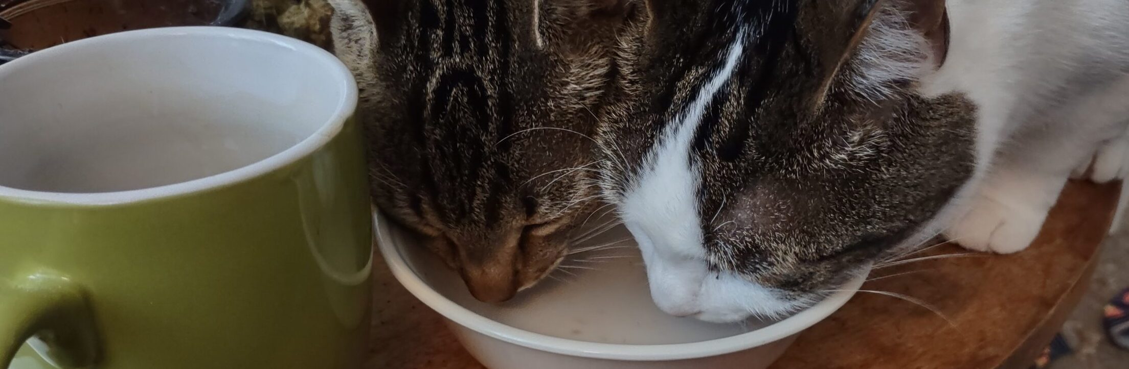 π What’s goin’ on! π