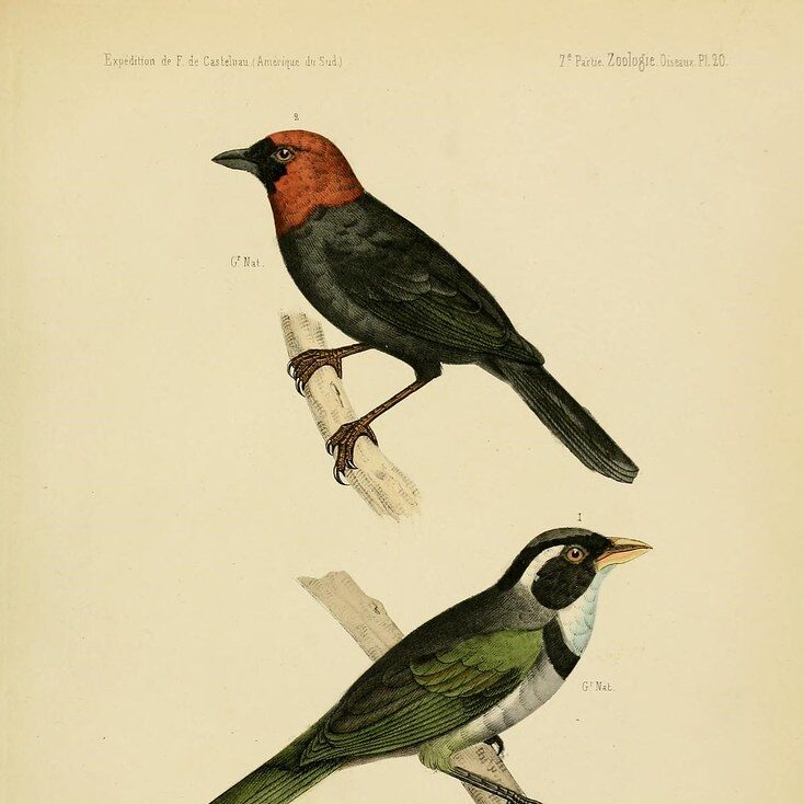 π¨ new features alert π¨