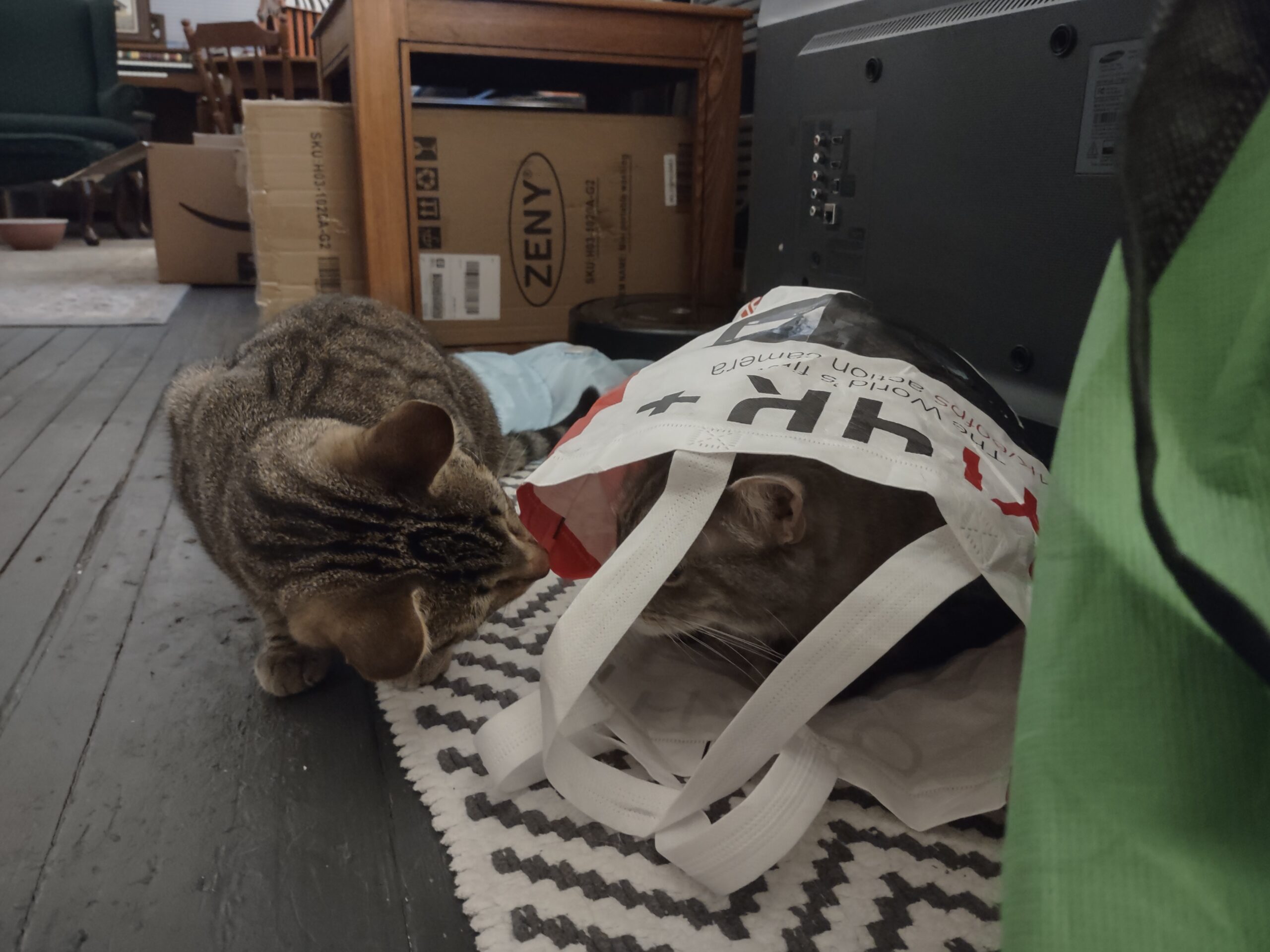 🧰🪚 maintenance downtime today 🔧🪛